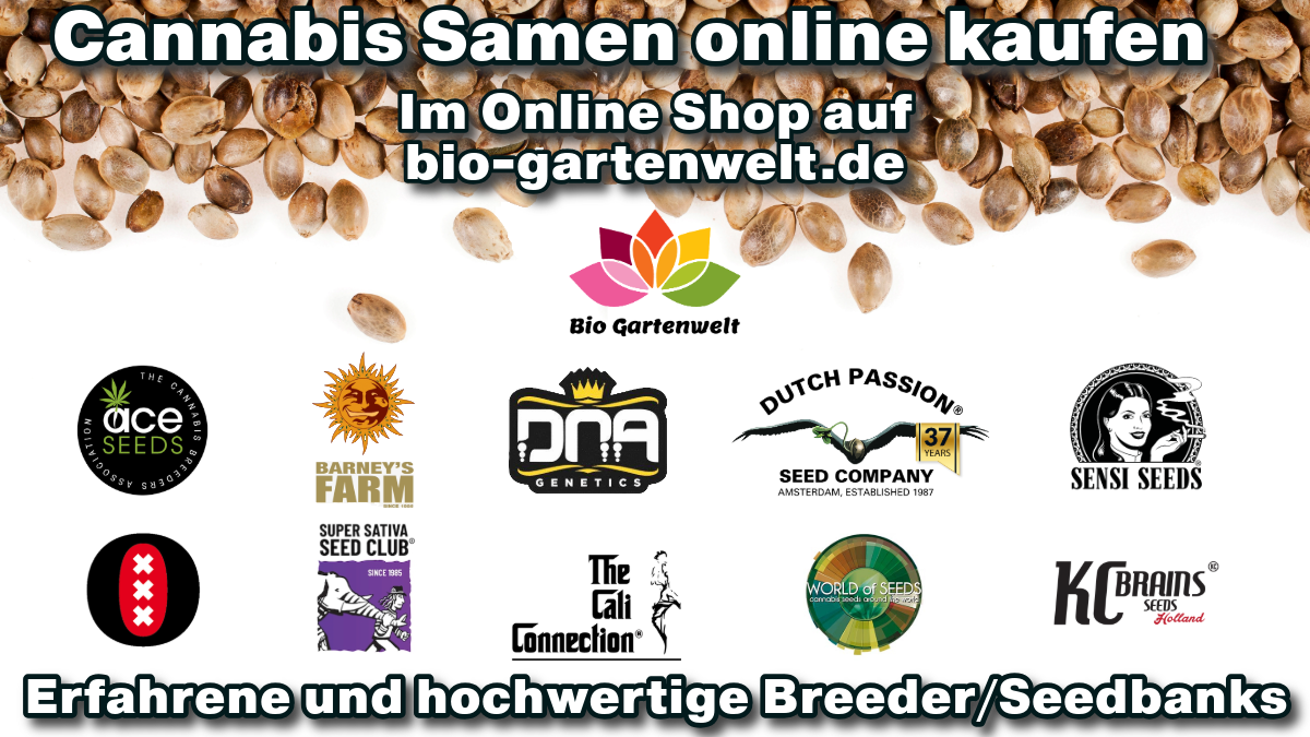 Cannabis Samen online kaufen auf bio-gartenwelt.de