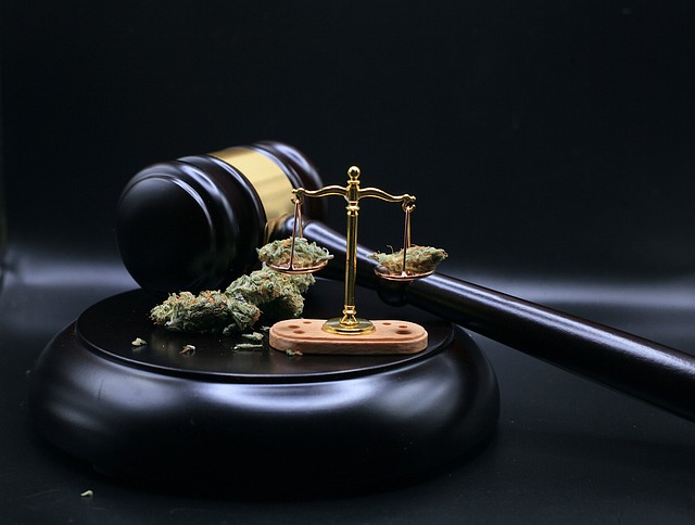 Cannabis und die Justiz - Cannabisverbot ist Unrecht