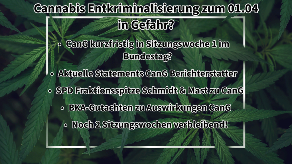 Cannabis Entkriminalisierung Cannabisgesetz CanG zum 01.04 in Gefahr