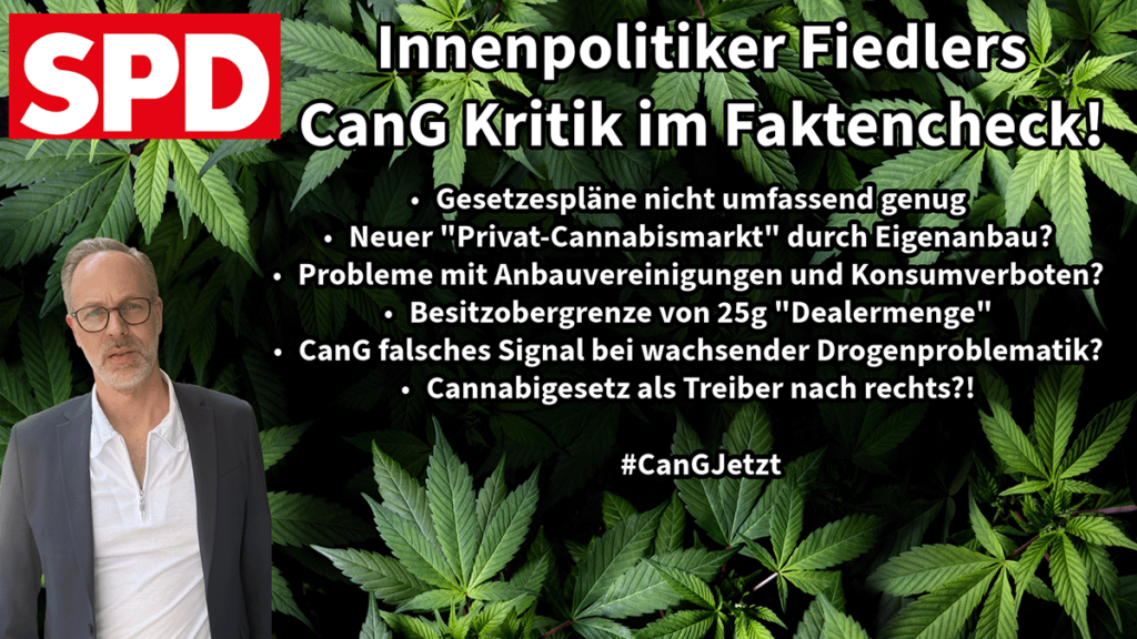 Fiedler gegen CanG 17.01 Kritik Faktencheck auf rolling-stoned.de