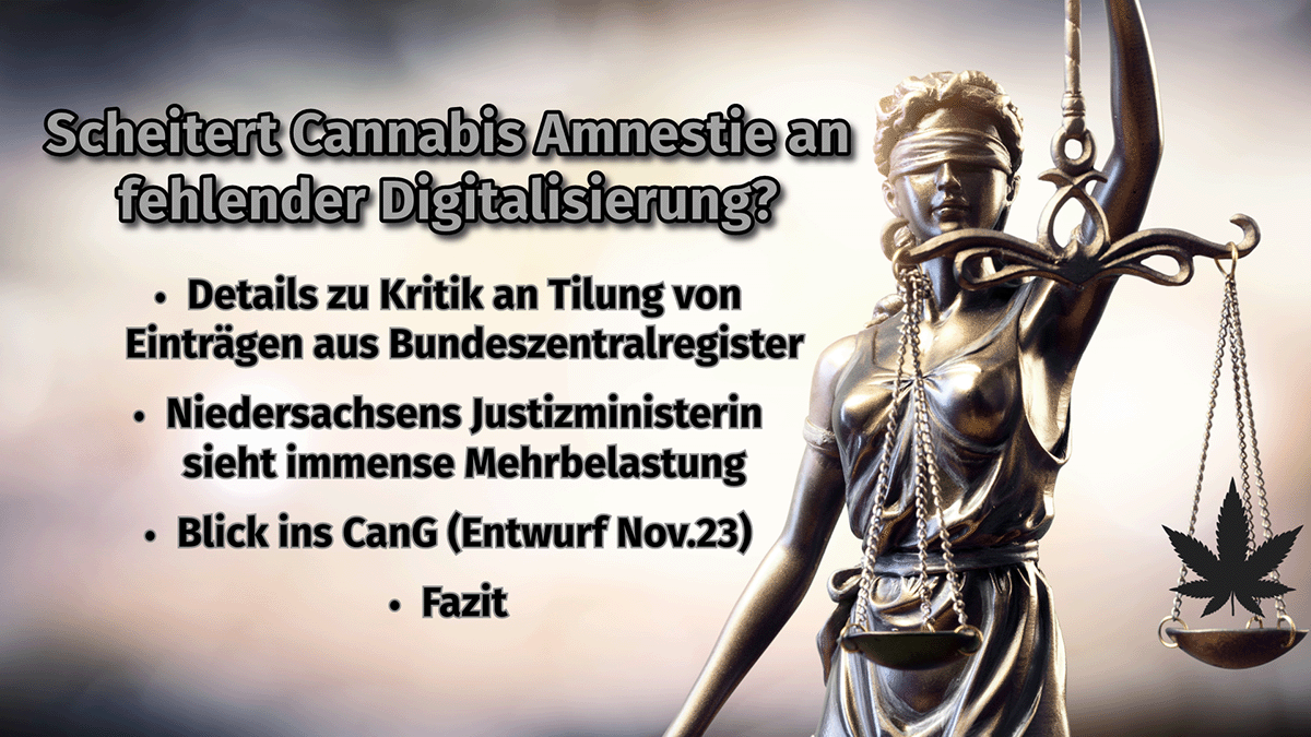 Scheitert Cannabis Amnestie an fehlender Digitalisierung? Beitragsbild