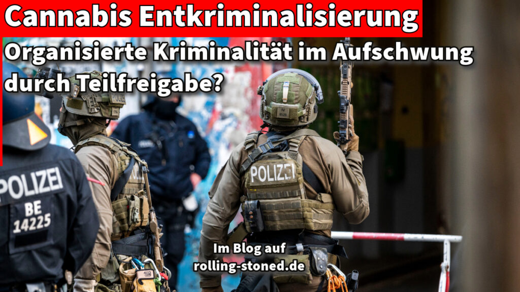 Cannabis Entkriminalisierung - organisierte Kriminalität im Aufschwung