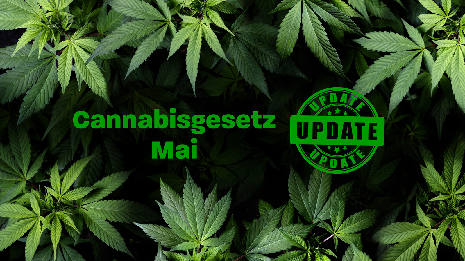 Cannabisgesetz in neuer Bundesregierung - CanG Update Ende Mai Beitragsbild