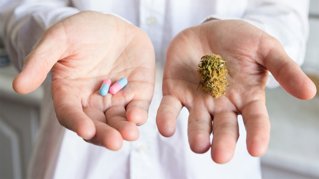 Cannabis auf Rezept - ein risikoarmes Arzneimittel per Telemedizin