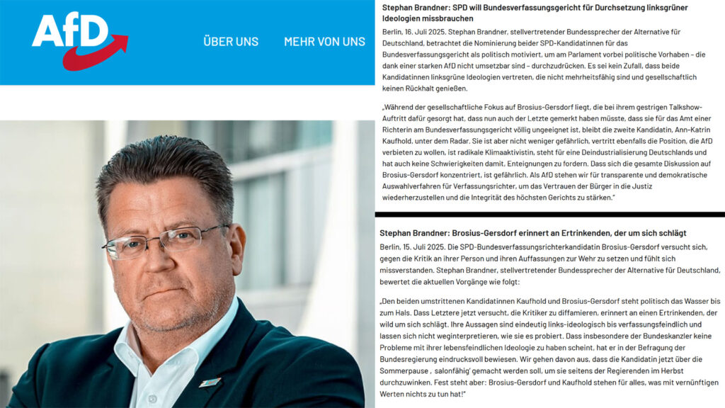 AfD Hauptprofiteur und Treiber der Kampagne gegen Brosius-Gersdorf und nun auch weitere Kandidatin