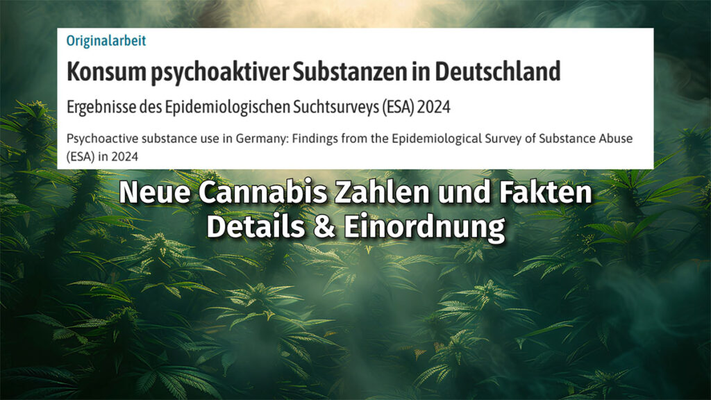 Epidemiologischer Suchtsurvey 2024 (ESA) – Cannabis Zahlen und Fakten Beitragsbild