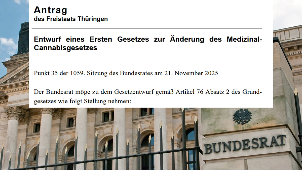 Medizinal-Cannabisgesetz Änderung im Bundesrat zu erster Befassung - Widerstand regt sich Titelbild