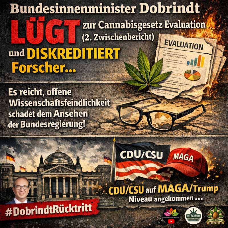 Bundesinnenminister lügt zu zweitem EKOCAN Zwischenbericht zur Cannabisgesetz Evaluation
