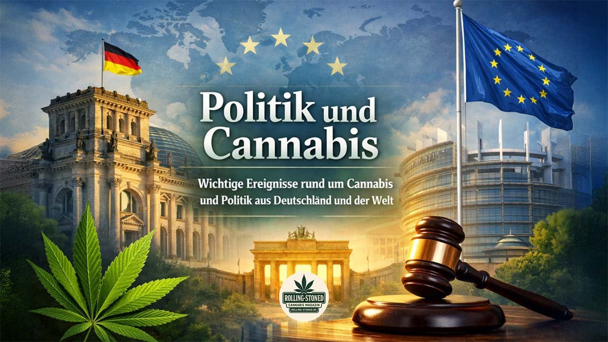 Politik und Cannabis - Wichtige Ereignisse aus Deutschland und der Welt - Rolling Stoned Magazine