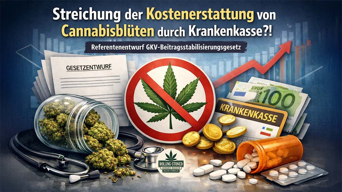 Wegfall der Cannabisblüten Kostenerstattung durch Krankenkasse geplant - GKV Beitragsstabilisierungsgesetz
