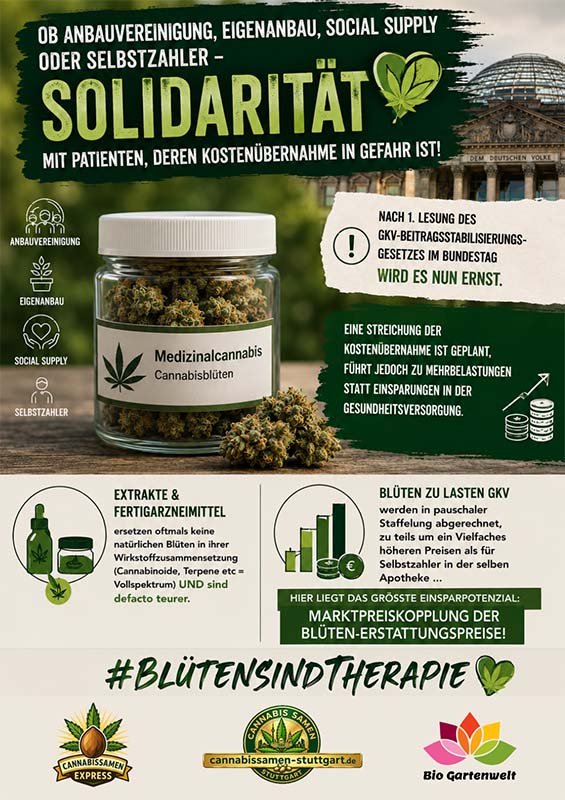 Solidarität mit Cannabis Patienten betroffen von der geplanten Streichung der Kostenübernahme von Blüten
